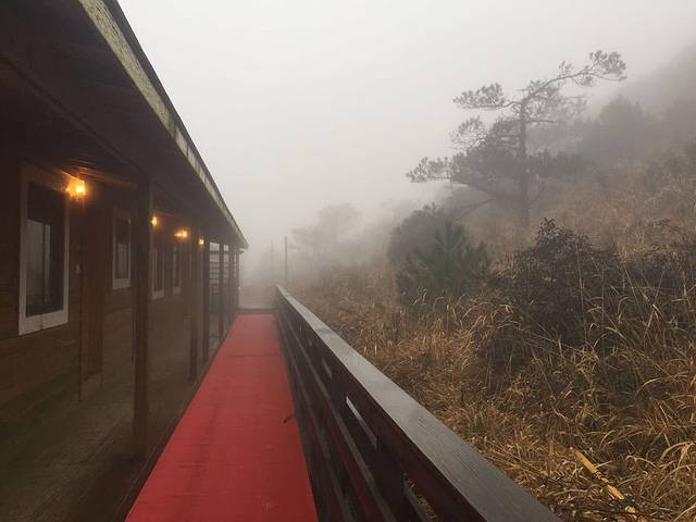 金铙山星空隧道