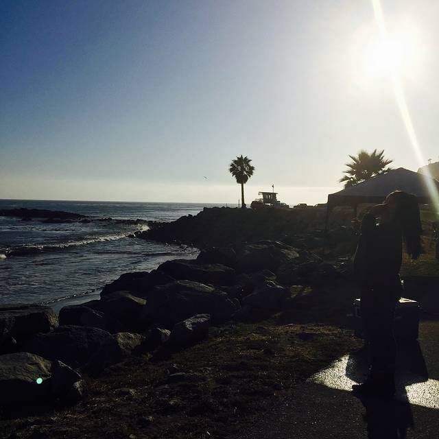 皇家棕榈树州立海滩