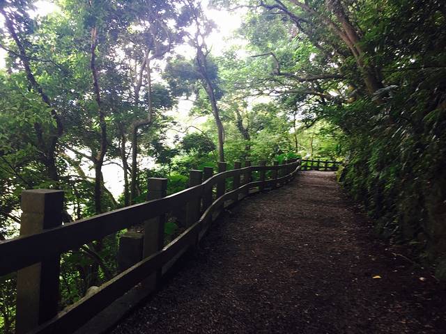 天母古道亲山步道