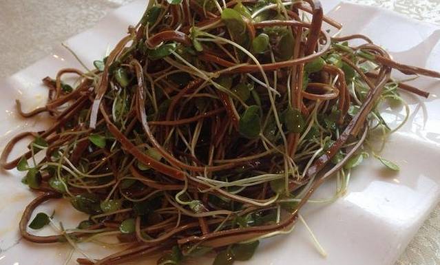 湘南情(学院路店)