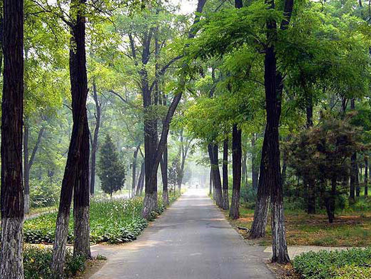 北京绿色度假村