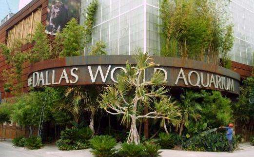 达拉斯水族馆