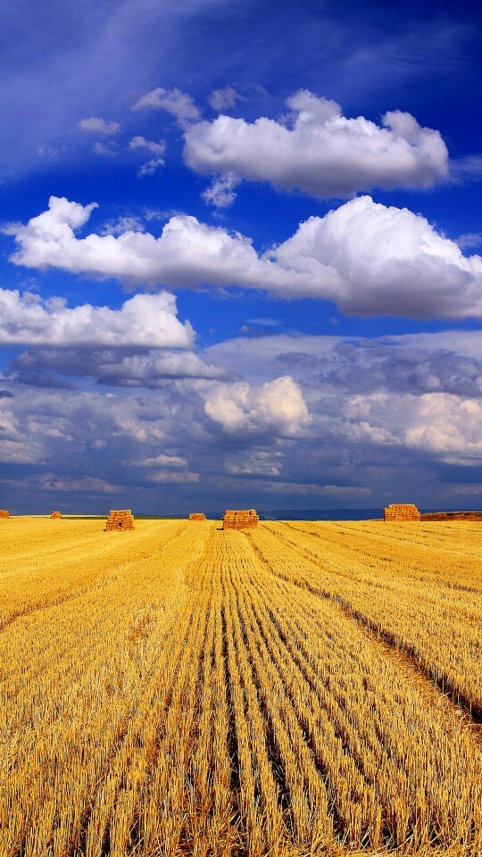三味奇(观音堂店)