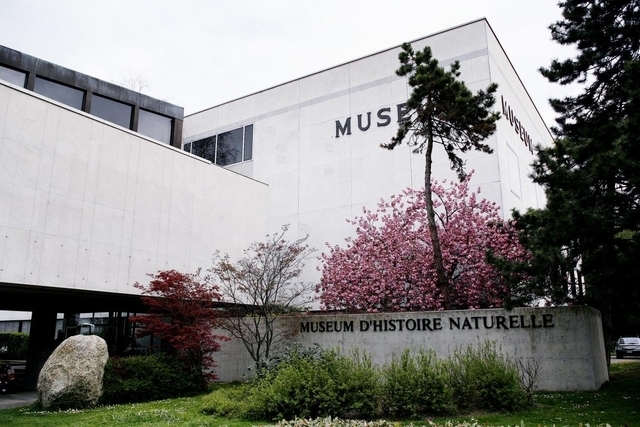 自然历史博物馆