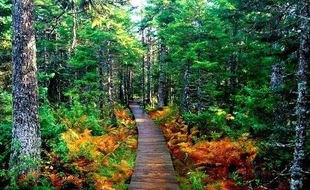 丰林自然保护区