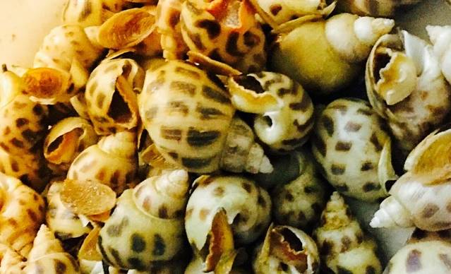 海恋园海鲜餐馆