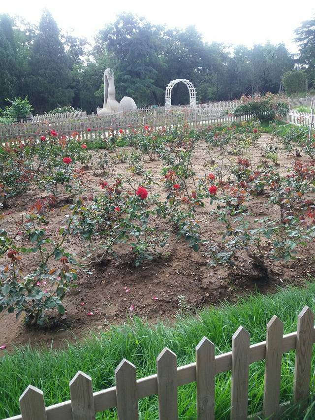 咱家炖菜馆(建新路店)