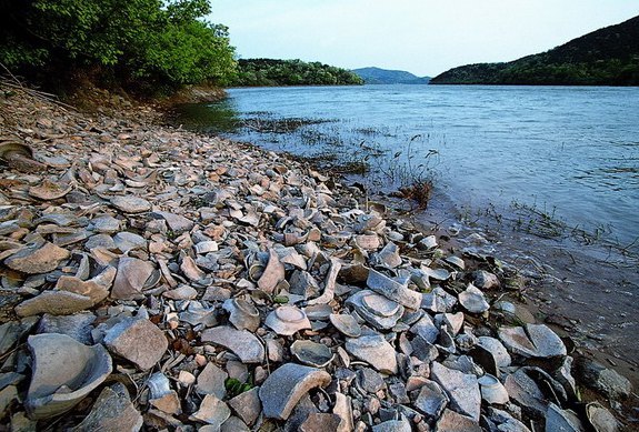 上林湖越窑遗址