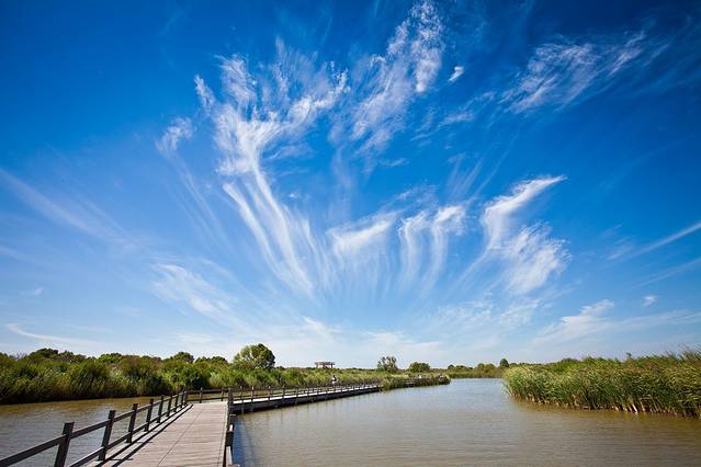 黄河口生态旅游区