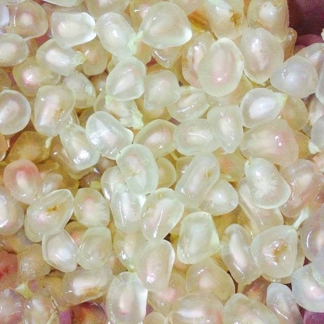 千里香驴肉馆(云路街店)