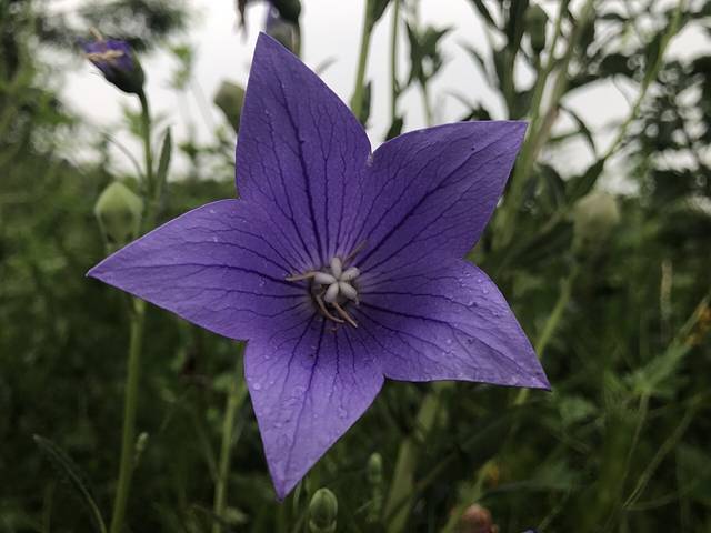 哈尔滨市劳动公园