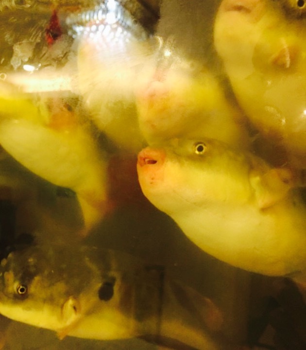 大不同酒家(江洲南路店)