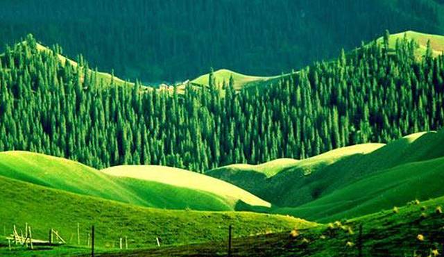 东疆夏宫·庙尔沟生态旅游度假区