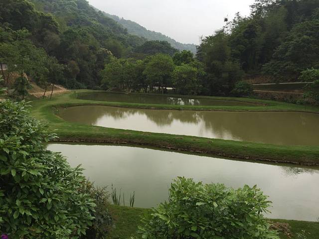 广州二龙山薰衣草森林世界