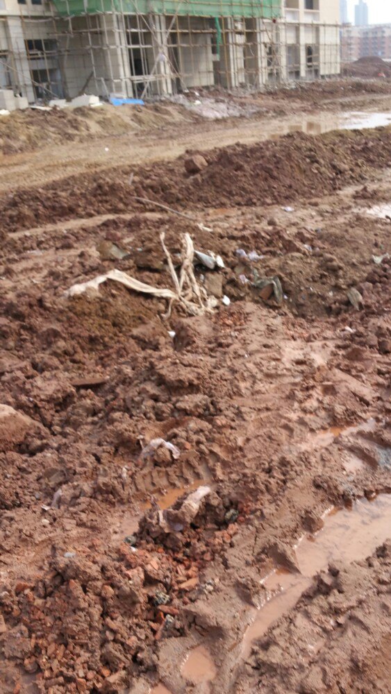 泸州市城市规划展览馆