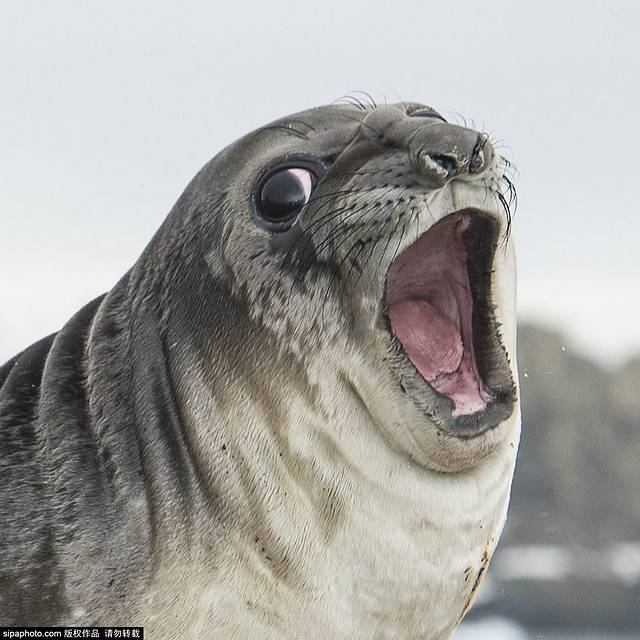 海底捞火锅(银泰中心店)