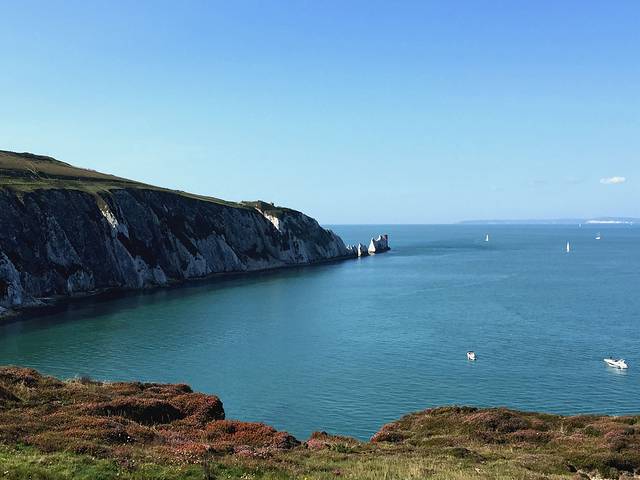 Seaview Wildlife Encounter