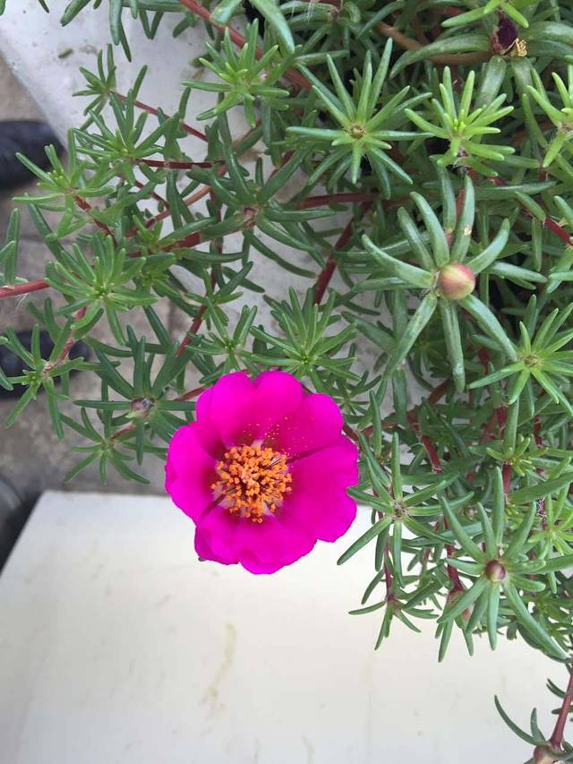 乡村居焖面(总店)