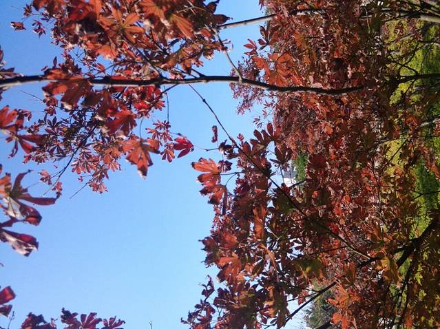 西北农林科技大学昆虫博物馆