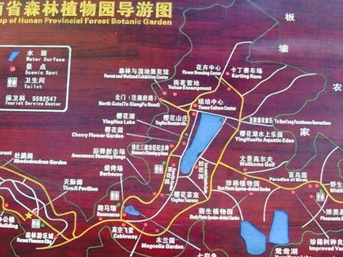 天际阁旅游景点图片