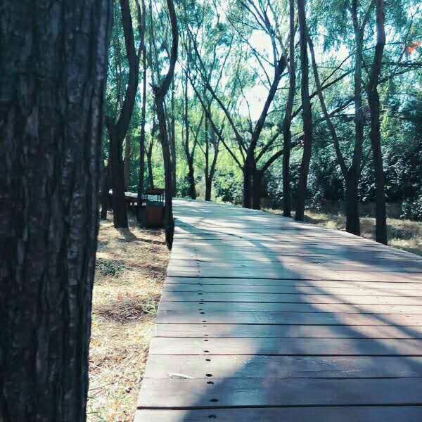 将军山森林公园