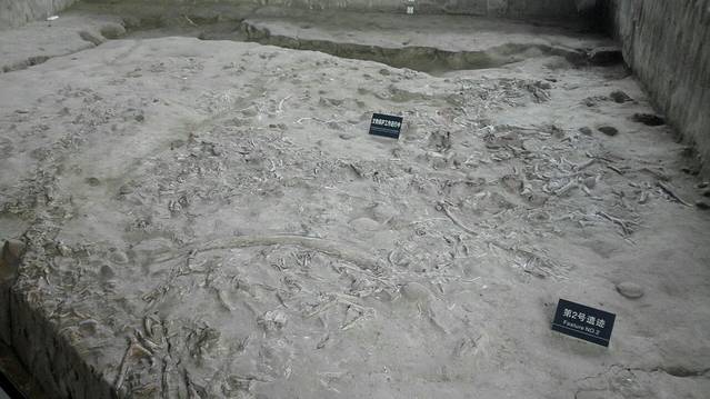 金沙遗址博物馆-遗迹馆