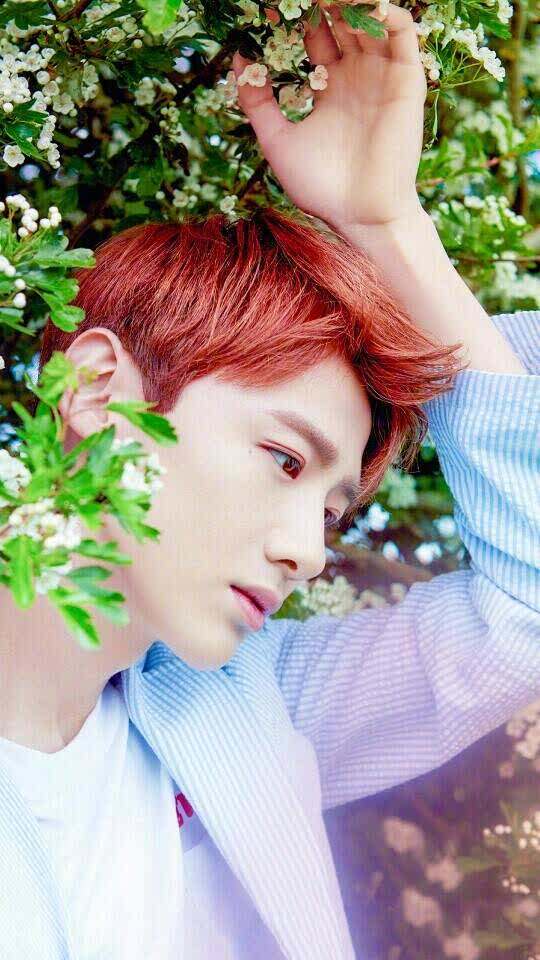 肯德基(唐县店)