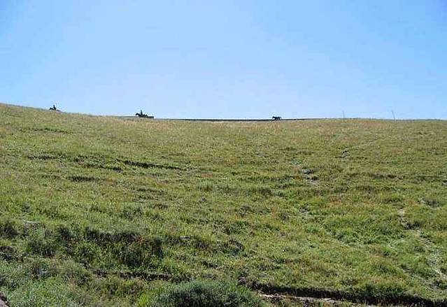 察汗淖尔草原度假村