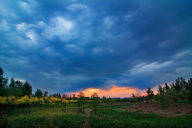 东小口森林公园