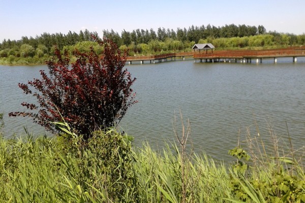 古滦河生态公园