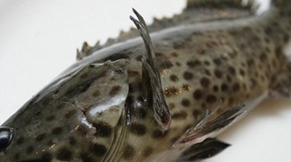 盛记海鲜(窑岭店)