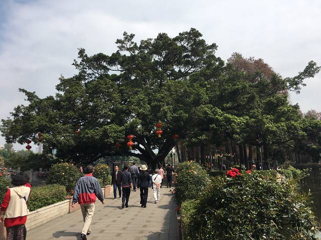 流花湖公园-法兰克福花园