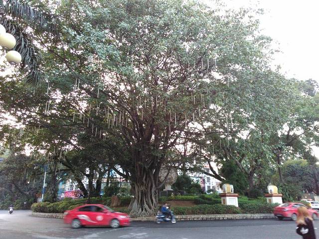 巍山清真食馆(瑞江路店)