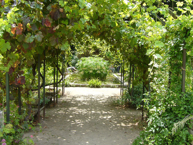 蒙彼利埃植物园