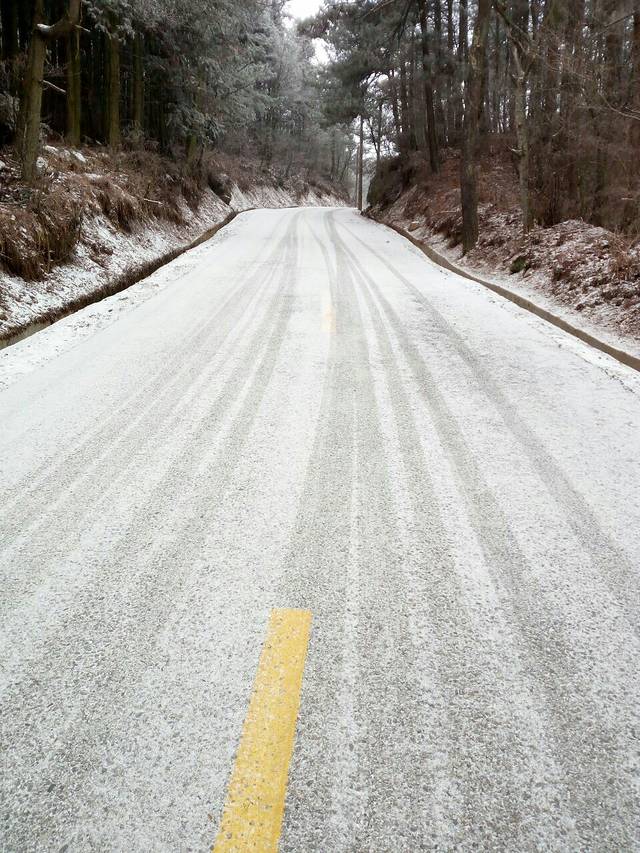 鹞落坪国家级自然保护区