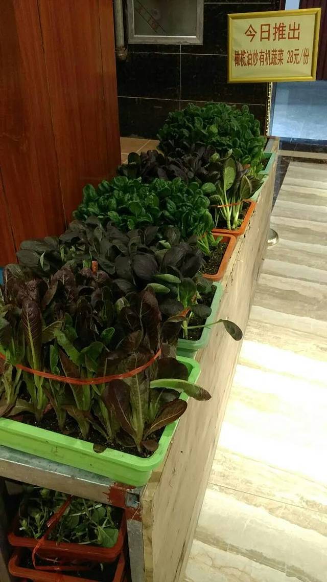 荣峰国际自助餐厅(荣峰大厦店)