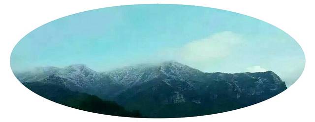 王子西饼屋(儛阳河路店)