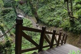 金瓜寮鱼蕨步道