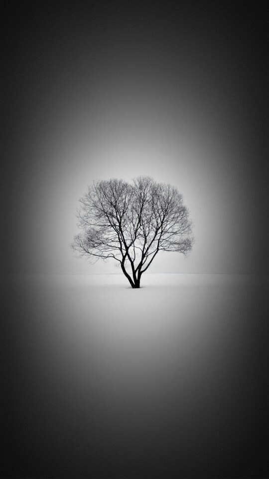 春沂(中国国际展览中心新馆)