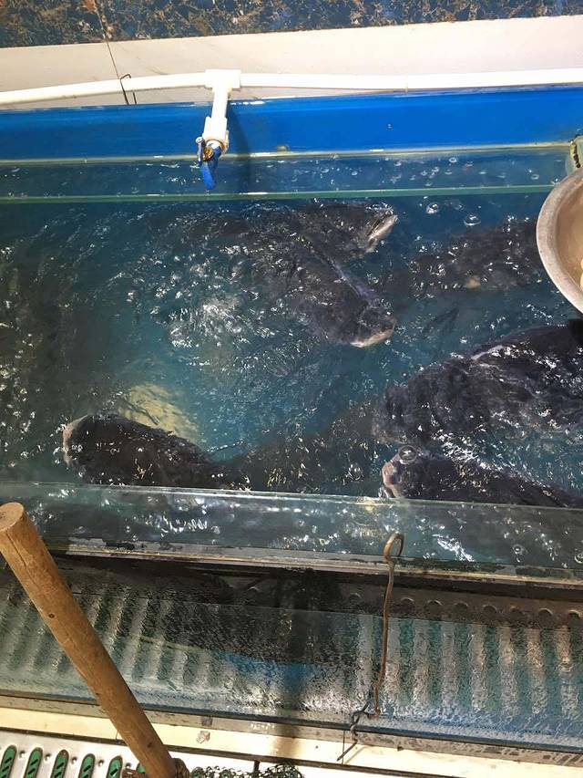 老石头(南湖店)