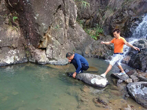 叫水坑原始森林