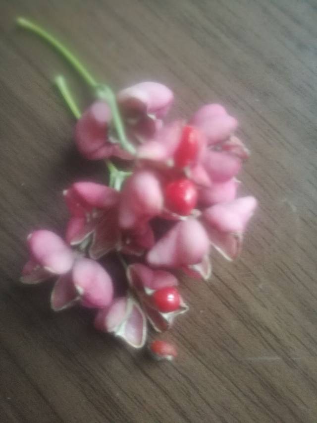 冀南区烈士陵园