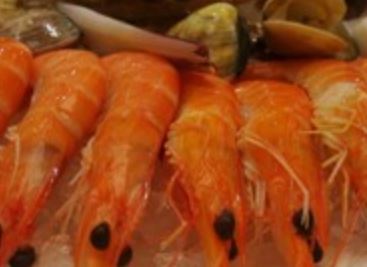 稻香酒家(金虹桥国际中心店)