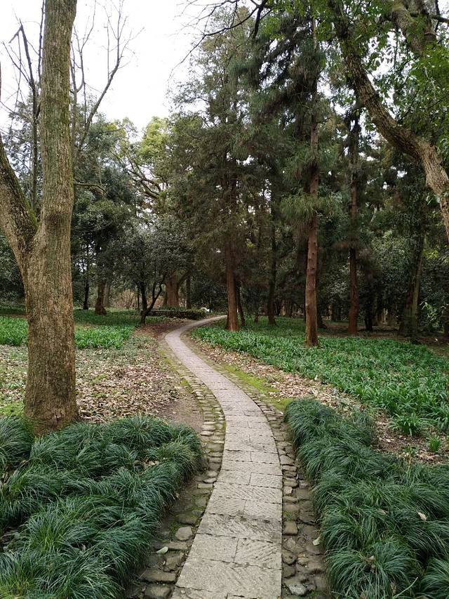 基隆山(雞籠山)