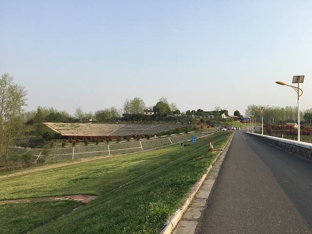 六合竹镇森林公园