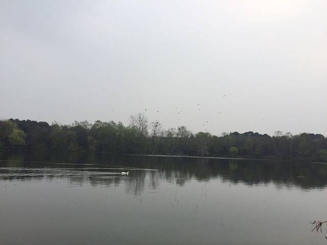 四川大学华西青羊校区