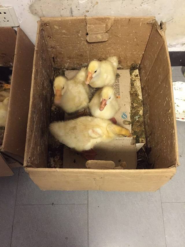 锦江中华村农家乐