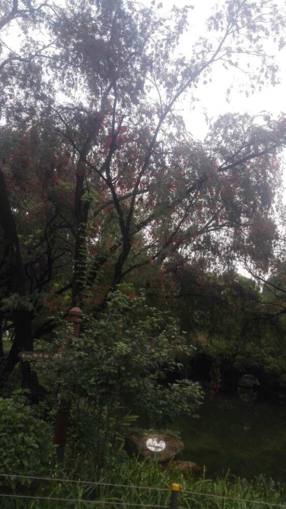 洪家山森林公园