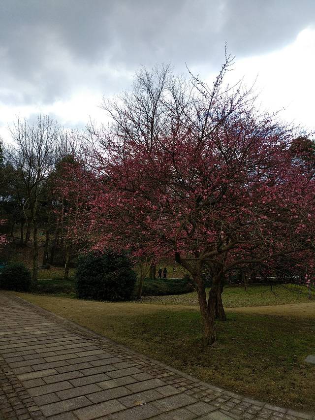Shoufong Farmers' Association Tourist Center