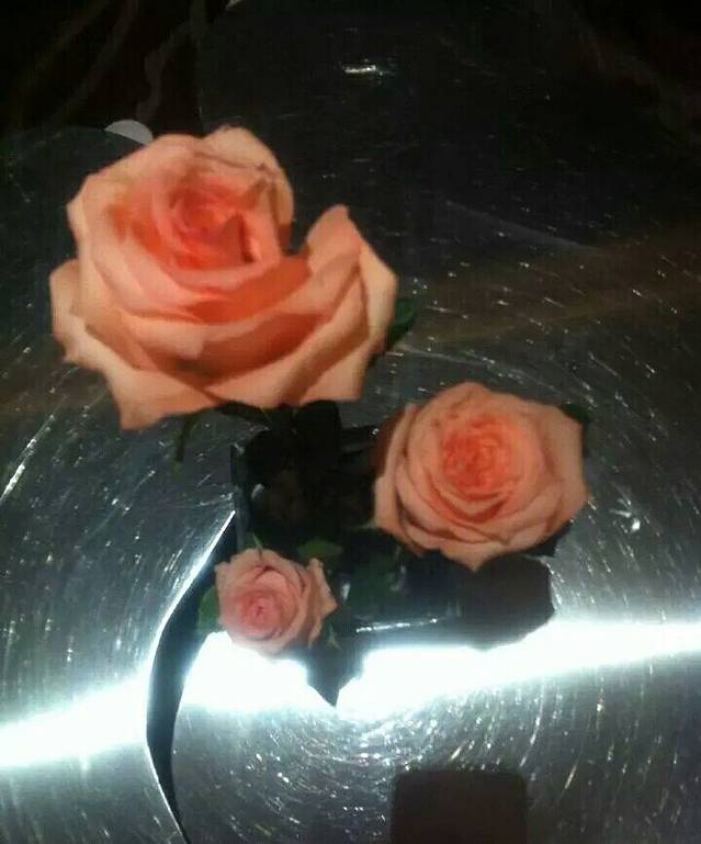 太仓宝龙福朋喜来登酒店宜客乐西餐厅